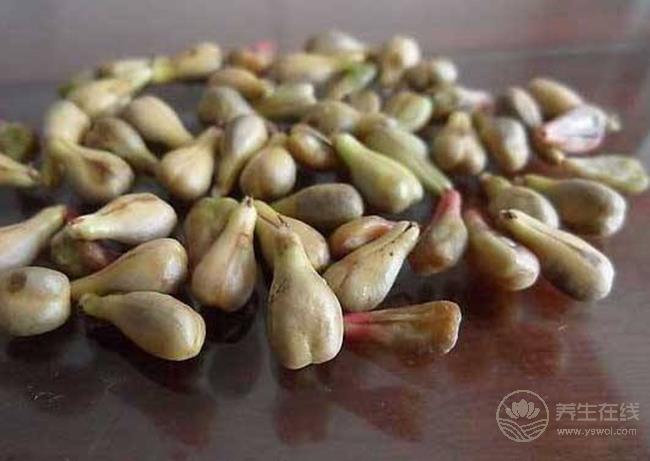 這些食物的籽對身體很好，別再扔掉了
