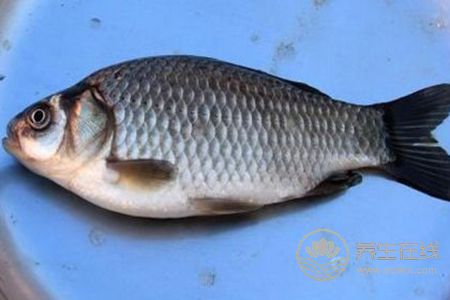 清燉鯽魚湯燉雖然鮮美，但是一些人不適合喝