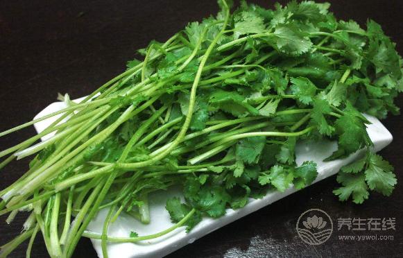 不吃香菜,你就體驗不到這幾個好處 不吃香菜,你就體驗不到這幾個好處