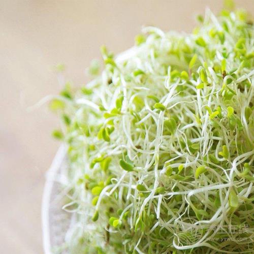 醫(yī)生提醒：高尿酸者，這5種食物再好吃都不能碰