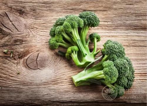 5種減脂食物放心吃,讓你瘦足一整夏! 5種減脂食物放心吃,讓你瘦足一整夏!