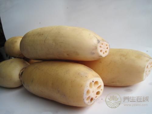 養(yǎng)生食譜蓮藕