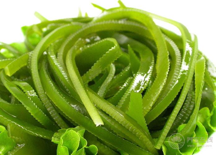 抽煙的人一定要看:4種清肺食物幫助保護您和家人的肺 抽煙的人一定要看:4種清肺食物幫助保護您和家人的肺