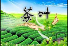 15種養生茶配方大全，你知道它們的功效嗎？