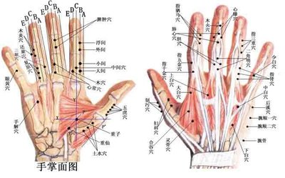 手上有哪些經絡它們的作用分別是什么