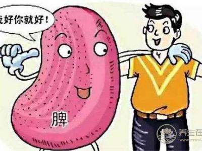 脾虛導致飯后犯困如何食療