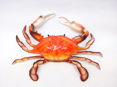 蟹子和葡萄兩種食材是否適合同時食用