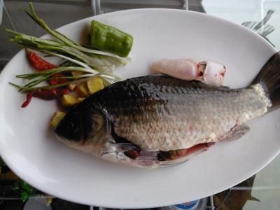 鯽魚(yú)的營(yíng)養(yǎng)價(jià)值以及鯽魚(yú)的搭配方法