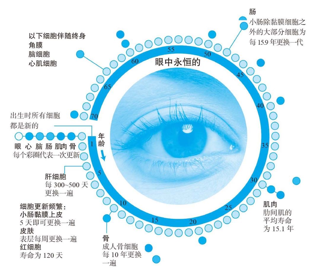 天天養生，為什么還是營養不良，而且全身都是病？
