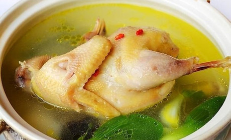 煲母雞除了補氣血之外還有哪些好處