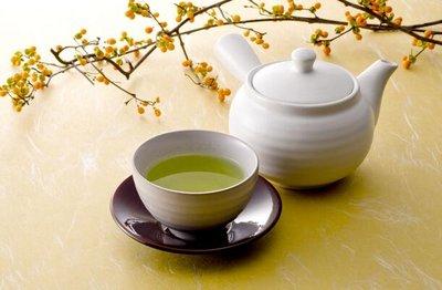 綠茶和菊花搭配喝對于身體有哪些好處