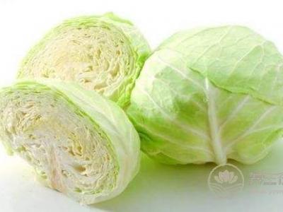 暴強(qiáng)減肥食譜　素炒圓白菜　
