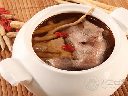 鴿子湯怎么燉最營養 鴿子湯的做法
