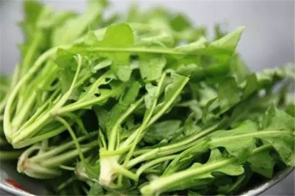 含鈣高的食物有哪些