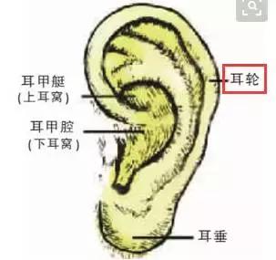 這一位置，拉的越大，腎就就越好，男人女人都合適