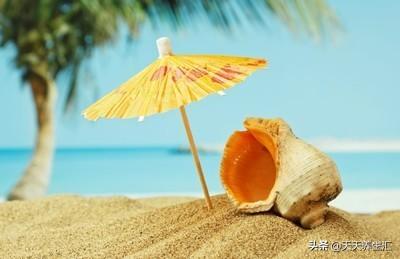 夏季培養平靜性情，不傷肝、不致傷，活才爽快的夏季
