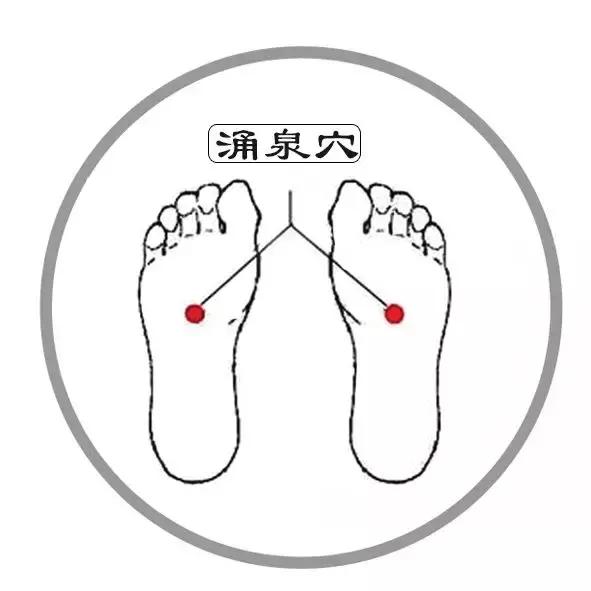 5大“長壽穴”,常按不得病,每一個人都該掌握-易網健康養生網 5大“長壽穴”,常按不得病,每一個人都該掌握