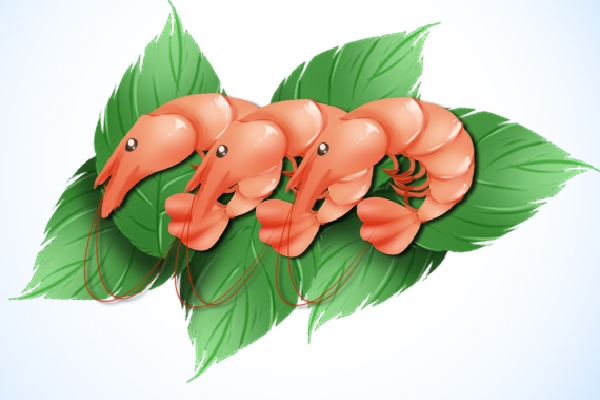 蝦可以和雞蛋一起吃嗎 雞蛋的營養(yǎng)價(jià)值和功效