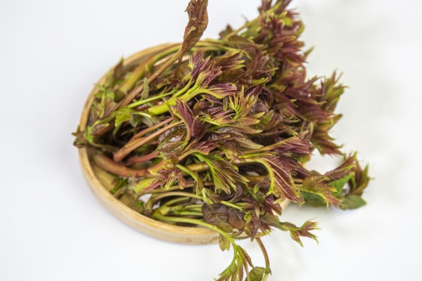 香椿的營養價值和功效 香椿的美味吃法