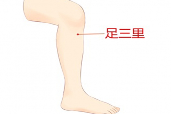 三伏天脾胃不好貼哪個穴位 三伏天貼敷的注意事項