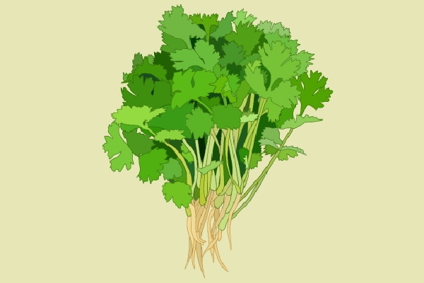 損傷陽氣的日常行為 補(bǔ)陽氣的食物有哪些