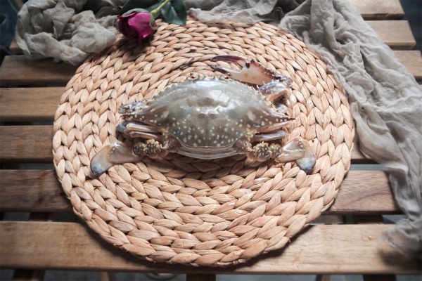 梭子蟹開鍋蒸多久最佳時間 六兩梭子蟹蒸多久-易網健康<a href=http://m.aoa7937.com/jkys/ target=_blank class=infotextkey>養生</a>網 梭子蟹開鍋蒸多久最佳時間 六兩梭子蟹蒸多久