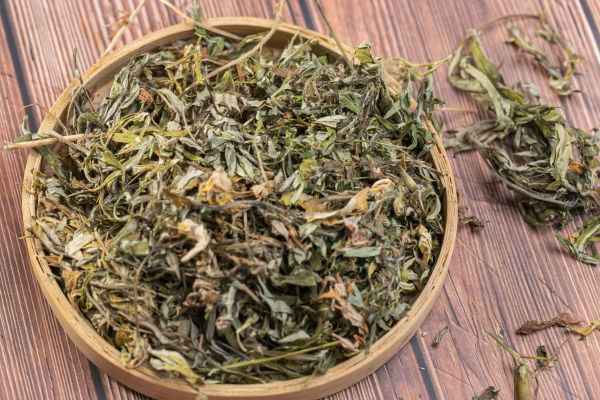 艾草洗腳能祛濕嗎 艾草洗腳的注意事項(xiàng)