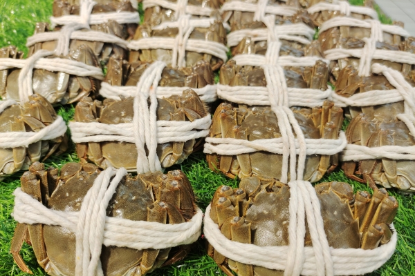 什么體質(zhì)不能吃大閘蟹 大閘蟹怎么做最好吃