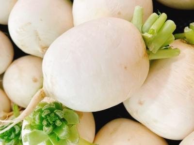 白蘿卜的功效與作用、禁忌和食用方法