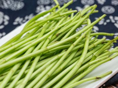 藜蒿的功效與作用、禁忌和食用方法