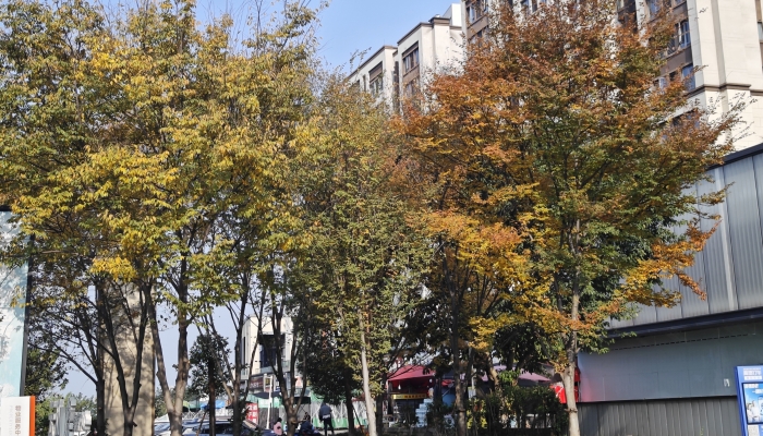 白露節氣物候有哪些特點 白露節氣的物候特點-易網<a href=http://m.aoa7937.com/ target=_blank class=infotextkey>健康養生</a>網 白露節氣物候有哪些特點 白露節氣的物候特點