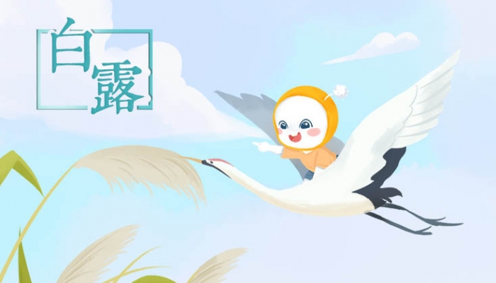 白露節氣氣溫有什么特點 白露節氣生活注意事項