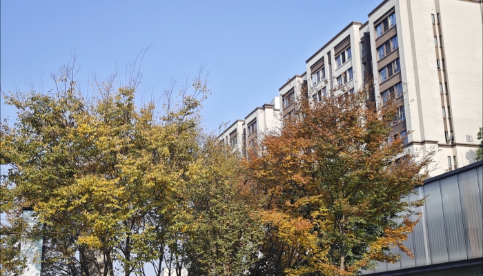 白露節氣的特點和風俗 白露節氣的風俗有哪些