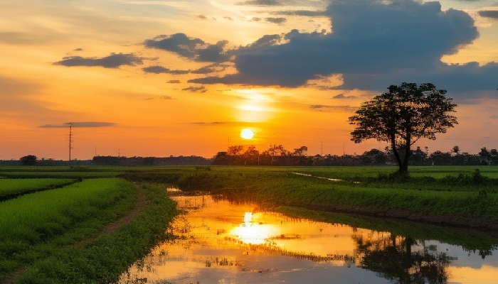 三伏天曬太陽有什么好處 曬太陽的益處