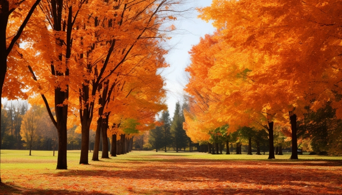 白露節氣晝夜溫差特點是啥 白露晝夜溫差的影響