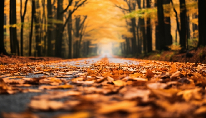 白露節氣晝夜溫差特點是啥 白露晝夜溫差的影響