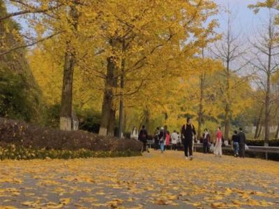 白露節氣物候有哪些特點 白露節氣的物候特點