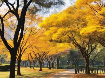 白露節氣降水特點是什么 影響白露節氣降水的因素