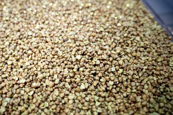 冬至為什么要吃蕎麥面