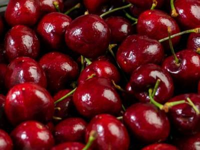 車?yán)遄拥慕】倒πв心男?  style=