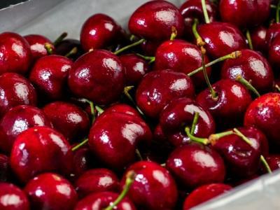 車厘子如何幫助調節血糖