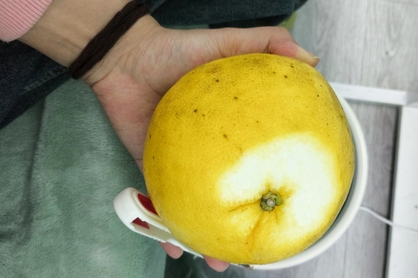 葡萄柚是否能幫助降低血糖