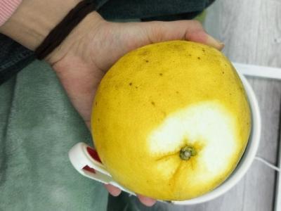 葡萄柚是否能幫助降低血糖