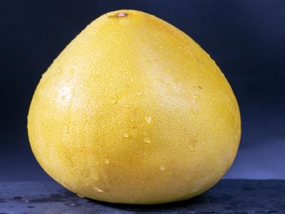 葡萄柚的抗氧化作用，如何幫助抗衰老