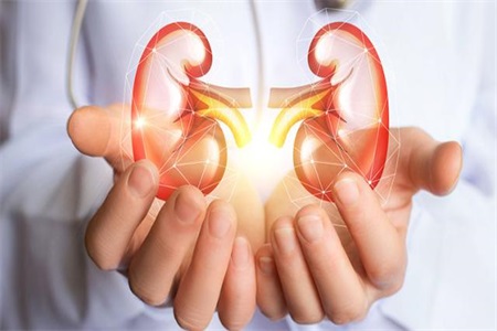 女性腎虛的表現，腎虛吃什么食物能補現在知道還不晚