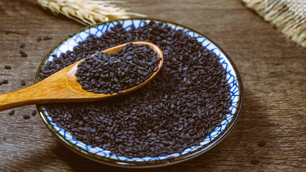 補(bǔ)腎益精的黑色食物 補(bǔ)腎益精吃什么好