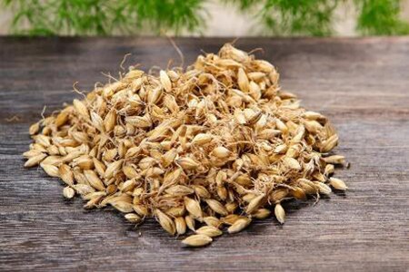 男人吃什么能提高性功能持久？這五個食物多吃讓你威風不減