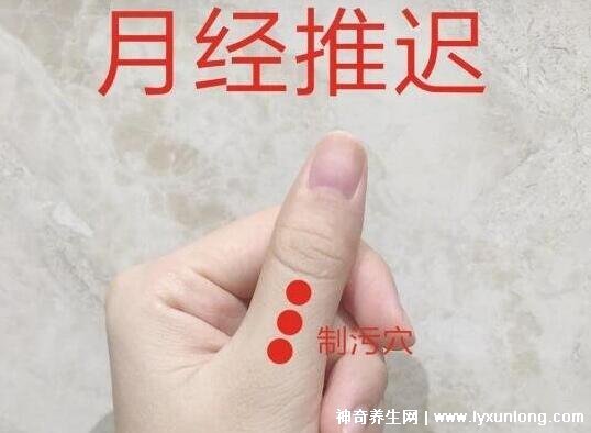 一天三袋益母草加速月經(jīng)，催姨媽神器(益母草顆粒)