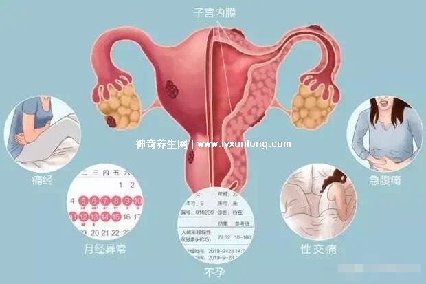 真實(shí)女生內(nèi)膜破壞的圖片，剝脫的子宮內(nèi)膜伴隨經(jīng)血排出