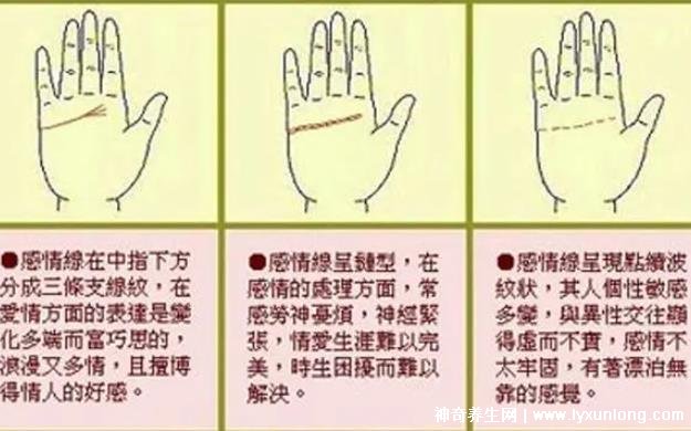 掌紋圖解女右手詳解圖片，事業線到中指根部會有所成就